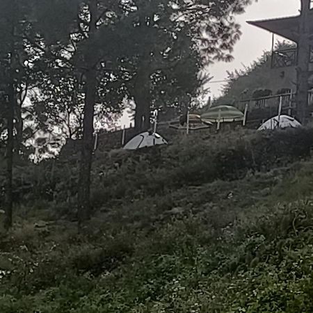 Nainital Adventure Park & Resort Екстериор снимка