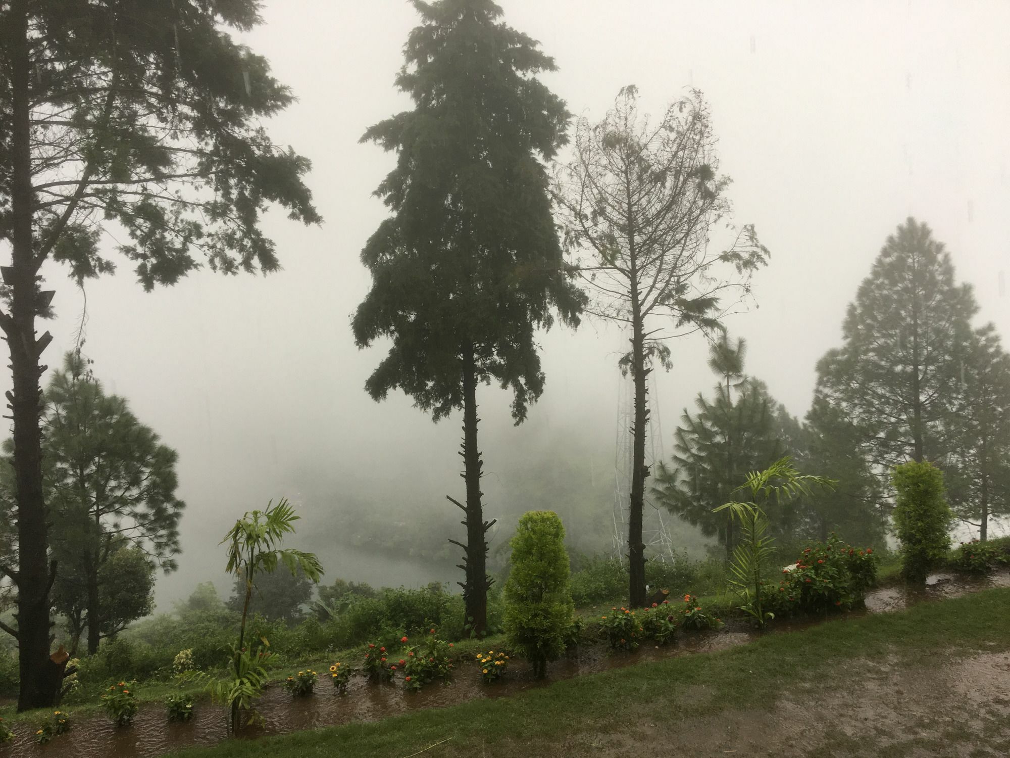 Nainital Adventure Park & Resort Екстериор снимка